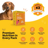 PetStrong Lamb and Blueberry & Chicken and Pumpkin Grain Free Fresh Food for Dogs Combo Dogs-Fresh Food PetStrong