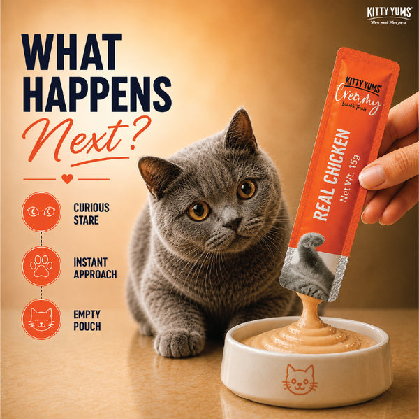 Kitty Yums Real Chicken Creamy Cat Treats