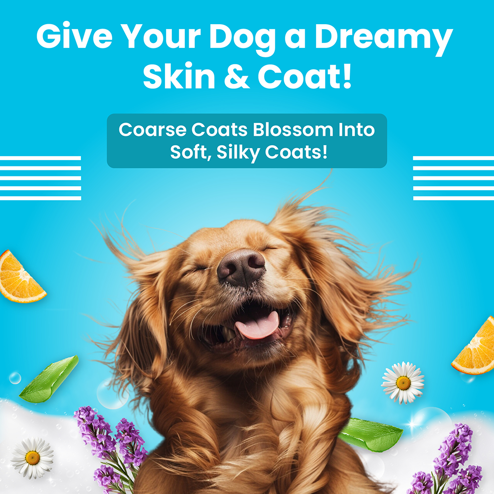 Bark Out Loud Lustrous Coat Leave in Conditioner for Dogs Both-Grooming Supplies Bark Out Loud