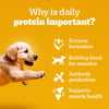 Pedigree Puppy Dog Food Combo |Chicken & Milk Dry & Chicken & Liver Wet Dogs- Dry Food Pedigree