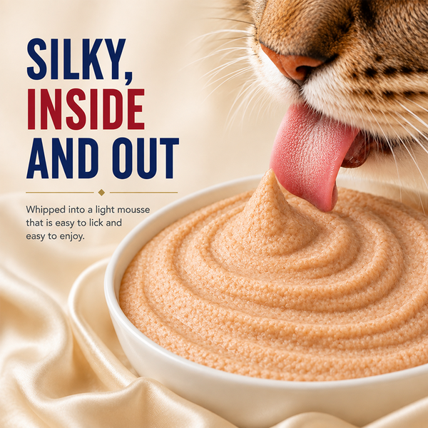 Kitty Yum Salmon Mousse Adult Cat Wet Food