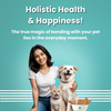 Bark Out Loud Immunity Multi Vitamin Chew Stix for Dogs and Cats Dog Treats + Others Bark Out Loud
