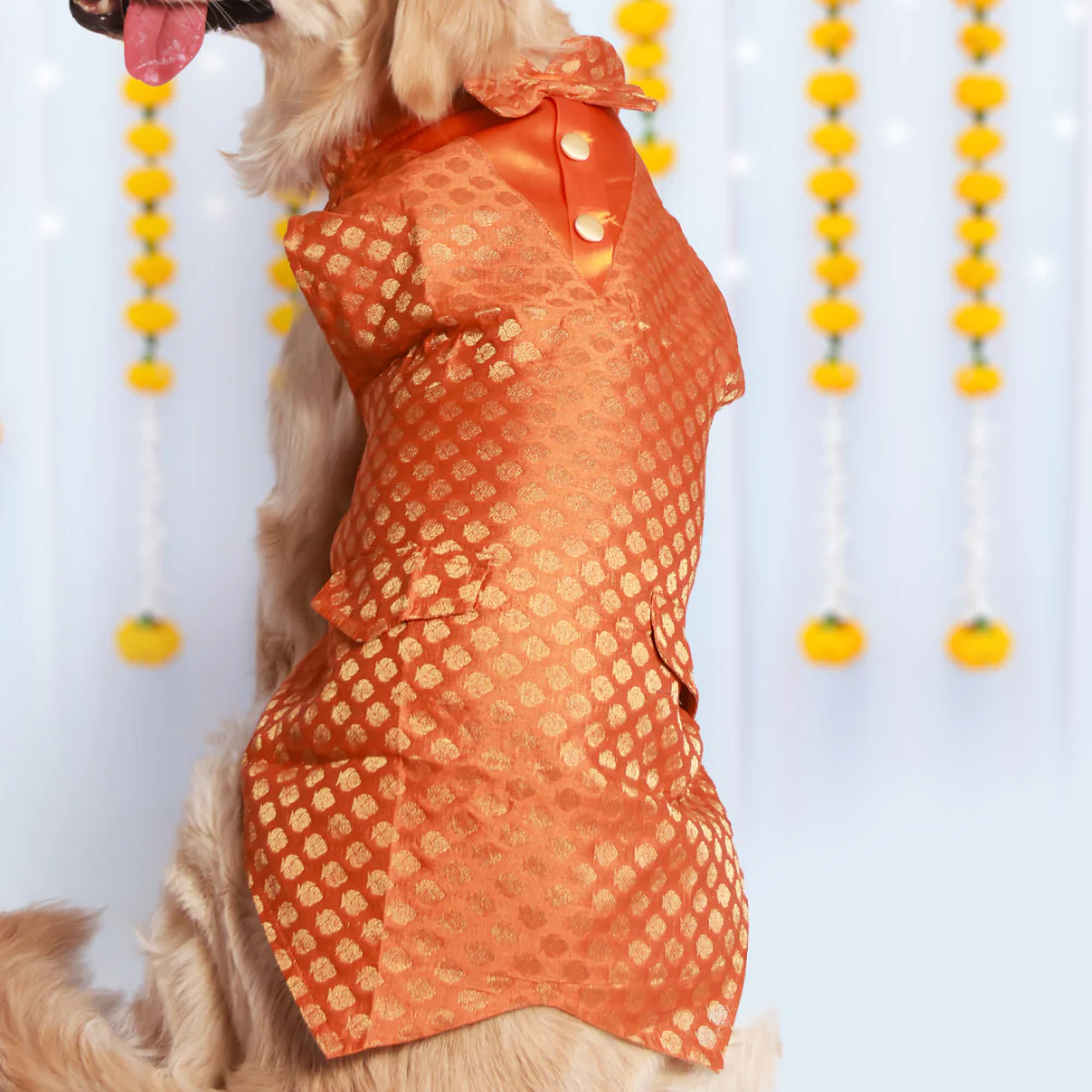 Pet Set Go Kurta with Bowtie for Dogs (Orange) Dogs-Clothing & Accessories Pet Set Go Dropship