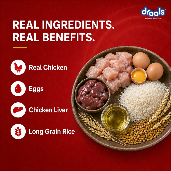 Drools Chicken and Egg Adult Dog Dry Food