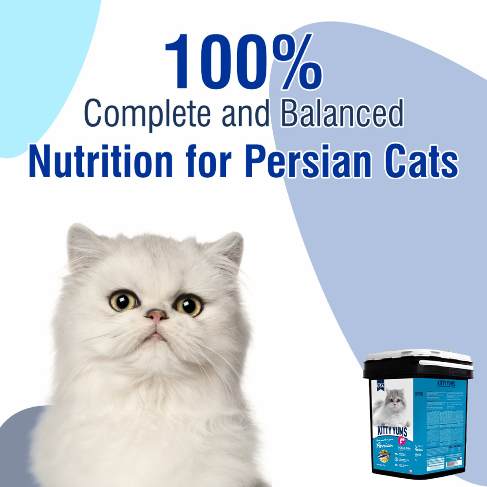 Kitty Yums Ocean Fish Persian Cat Dry Food