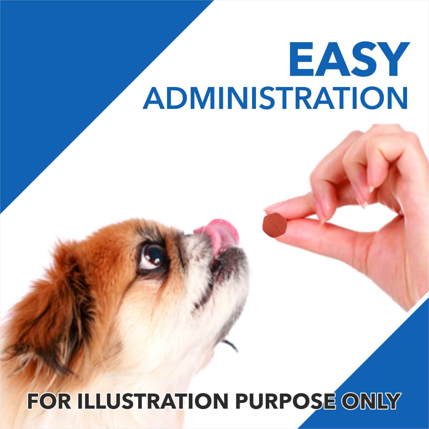 Drools Absolute Vitamin and Absolute Calcium Supplement Tablets for Dogs Combo Dogs-Health & Wellness Drools