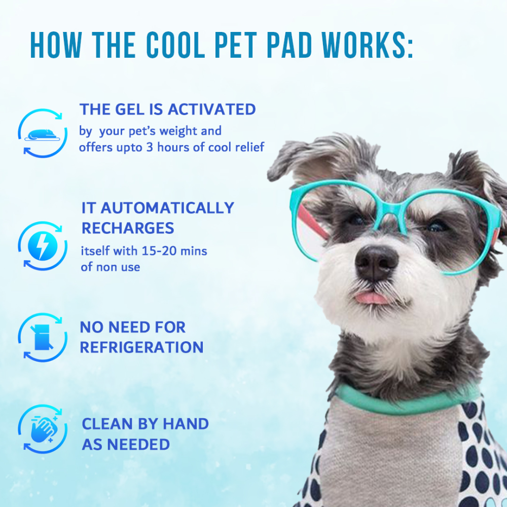 Goofy Tails Pressure Activated Cooling Mat for Dogs and Cats (Blue)