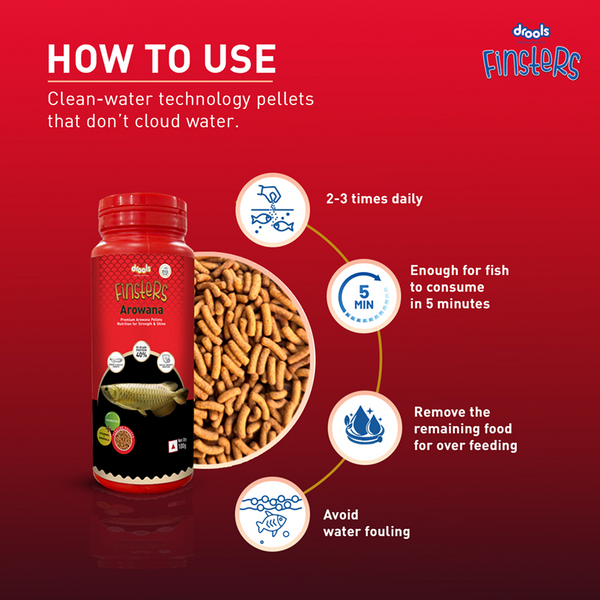 Drools Finsters Arowana Fish Food