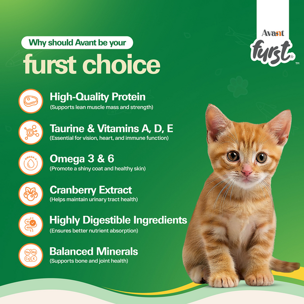 Avant Furst Ocean Fish Flavour Kitten Cat Dry Food