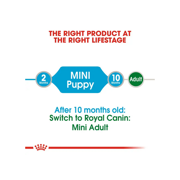 Royal Canin Mini Puppy Dog Wet Food