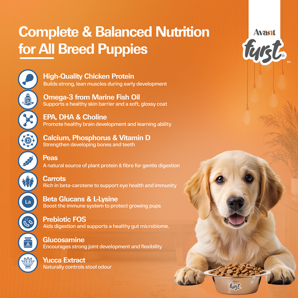 Avant Furst Chicken and Vegetable Puppy Dry Food