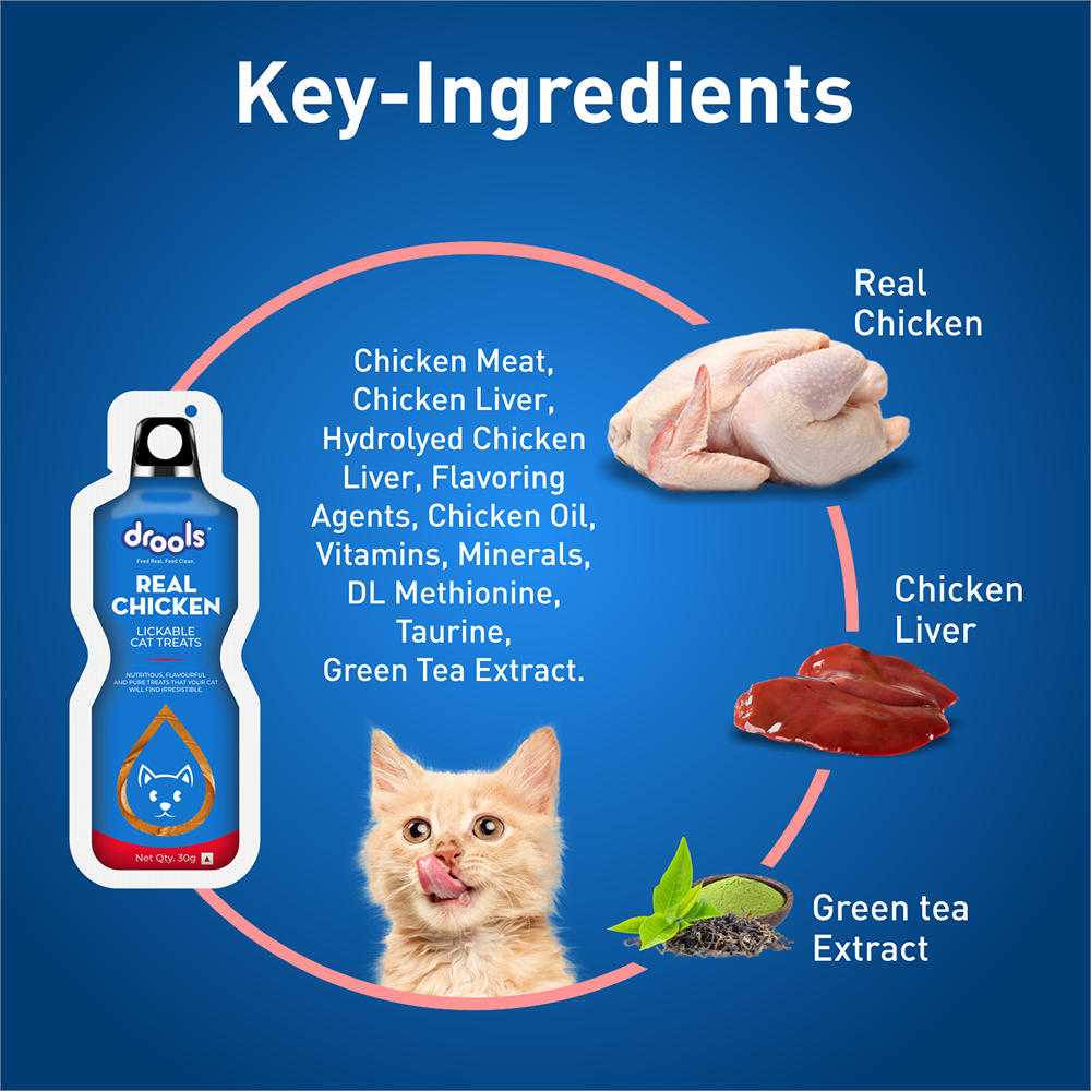 Drools Real Chicken Creamy Lickable Cat Treats Cats-Treats & Others Drools