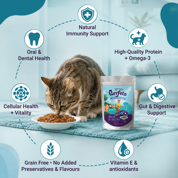 Purrfeto Ocean Fish in Gravy Adult Cat Wet Food