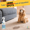 Zoivane Stain and Odour Eliminator for Dogs and Cats Both-Health & Wellness Zoivane