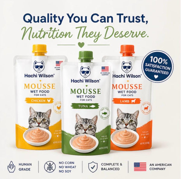 Hachi Wilson Chicken Mousse Wet Food for Cats & Kittens