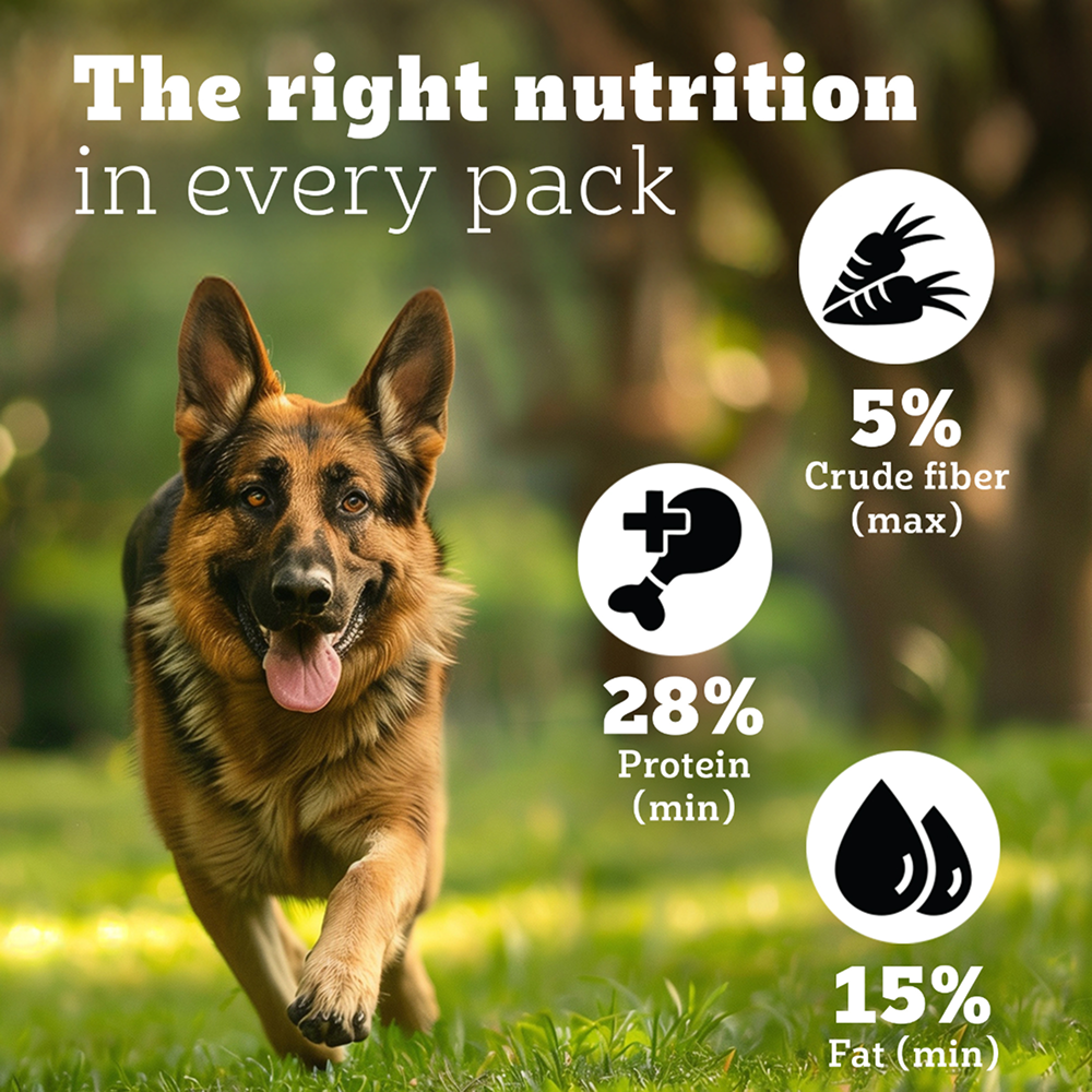 Pedigree PRO Expert Nutrition Active Adult (18 Months Onwards) Large Breed Dog Dry Food Dogs- Dry Food Pedigree PRO