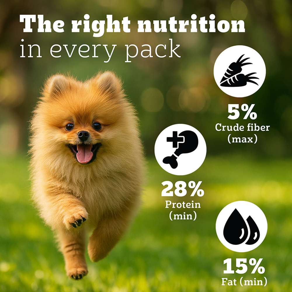 Pedigree PRO Expert Nutrition Small Breed Puppy (2 to 9 Months) Dry Food Dogs- Dry Food Pedigree PRO