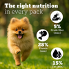 Pedigree PRO Expert Nutrition Small Breed Puppy (2 to 9 Months) Dry Food Dogs- Dry Food Pedigree PRO