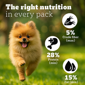 Pedigree PRO Expert Nutrition Small Breed Puppy (2 to 9 Months) Dry Food Dogs- Dry Food Pedigree PRO