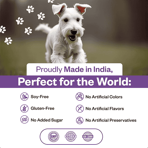 TailsAlive Probiotic Chicken Flavor Soft Chews Supplements for Dogs