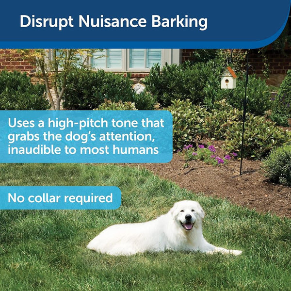 PetSafe Outdoor Bark Control Device for Dogs