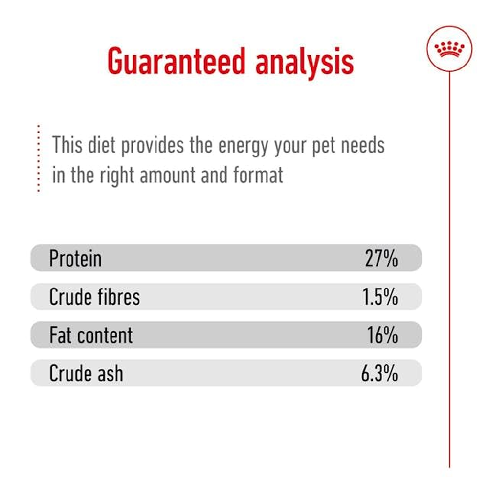 Royal Canin Mini Adult Dog Dry Food with 8+ Years of age Dogs- Dry Food Royal Canin