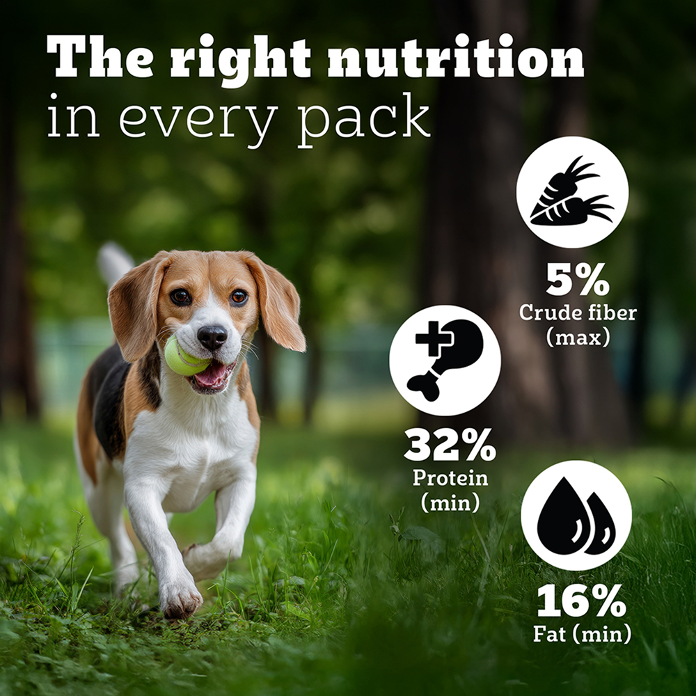 Pedigree PRO Expert Nutrition Lactating/Pregnant Mother & Puppy Starter (3 to 12 Weeks) Small Breed Dog Dry Food Dogs- Dry Food Pedigree PRO