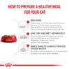 Royal Canin Veterinary Diet Urinary S/O Adult Cat Dry Food Cats- Dry food Royal Canin V-Diet
