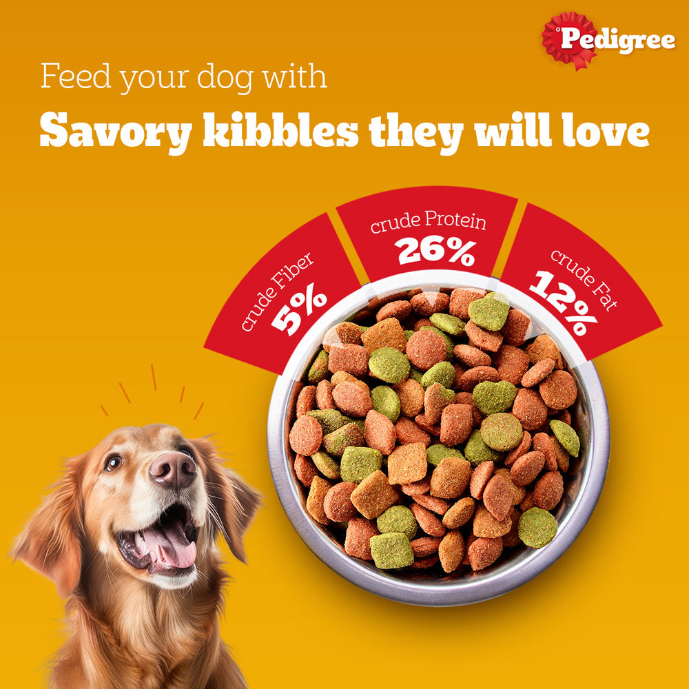 Pedigree Lamb & Milk Small Puppy Dry Food and Lamb Flavour Chunks in Gravy Puppy Wet Food Combo