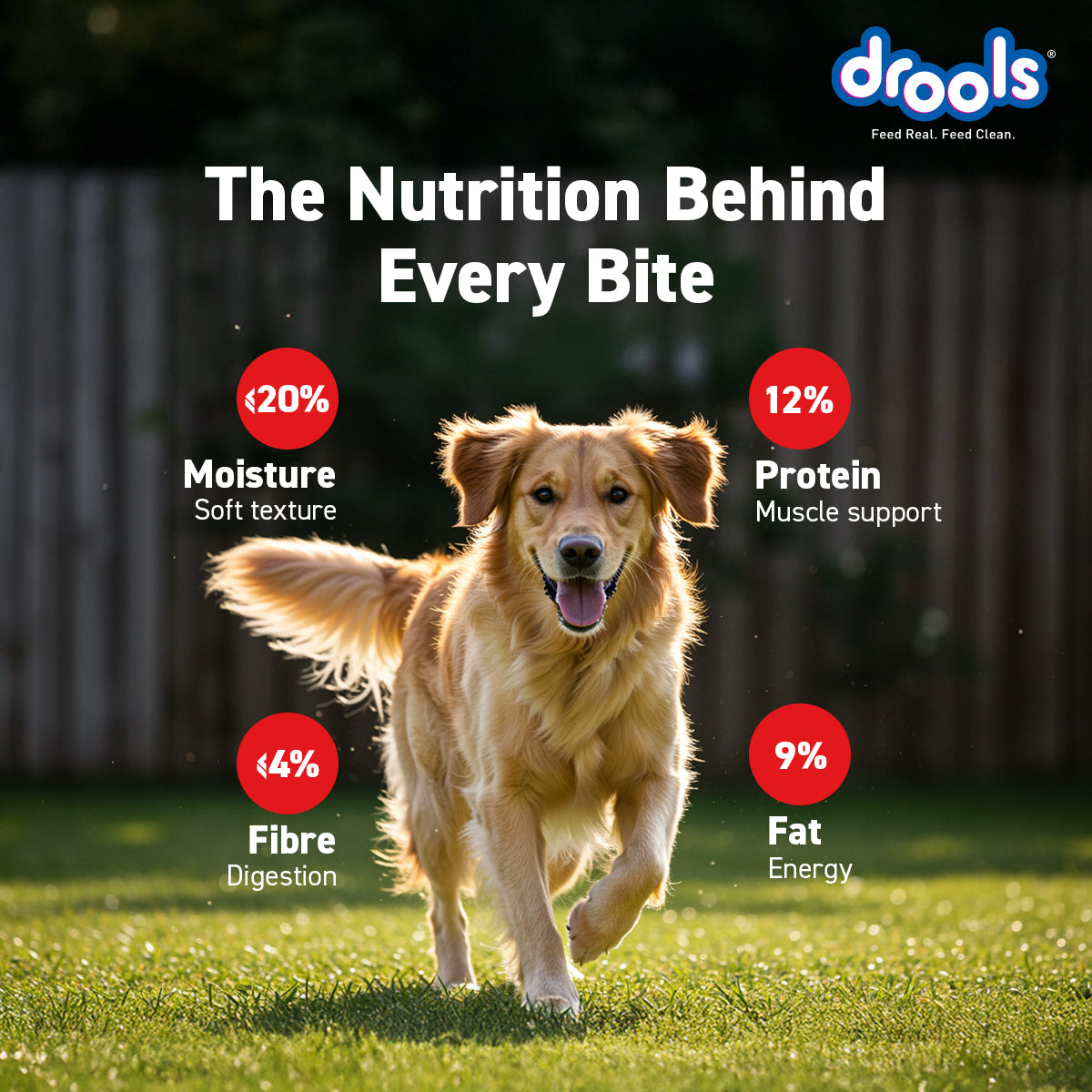 Drools Blueberry Flavour Chicken Sticks Treat for Dogs Dog Treats + Others Drools