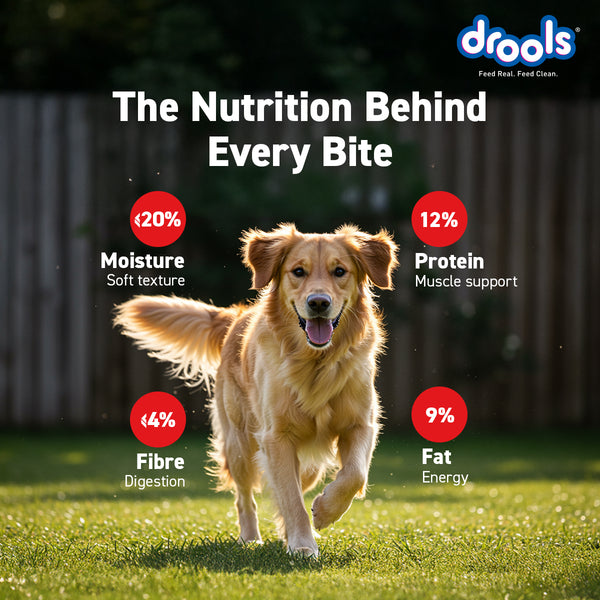 Drools Blueberry Flavour Chicken Sticks Treat for Dogs