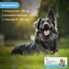 Wiggles Deworminator Deworming Tablets for Dogs and Cats Both-Health & Wellness Wiggles