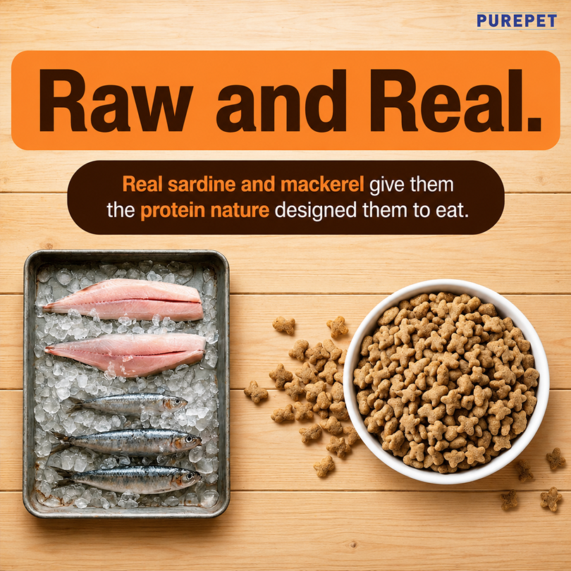 Purepet Mackerel Adult Cat Dry Food Cats- Dry food Purepet