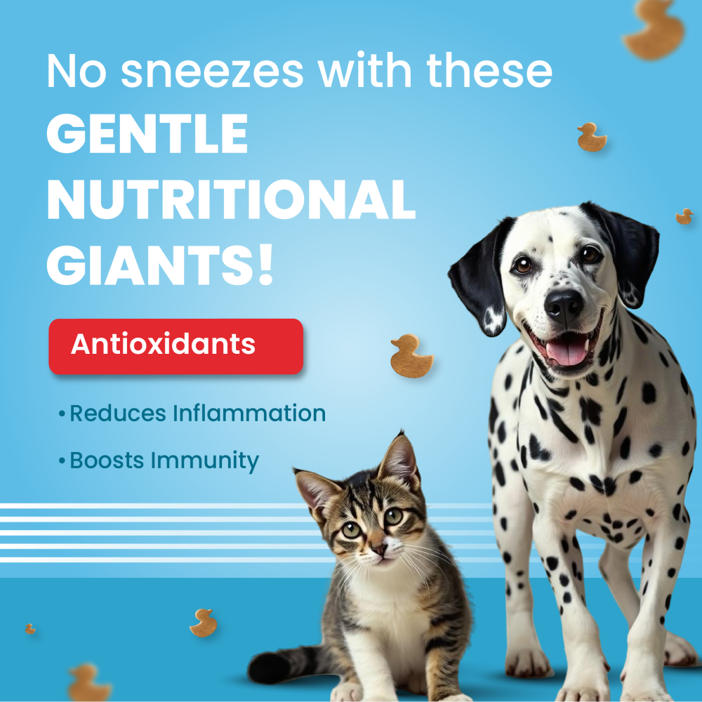 Bark Out Loud Hypoallergenic Duck Meat Treats for Cats and Dogs Dog Treats + Others Bark Out Loud