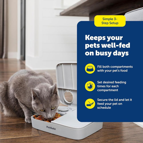 PetSafe 2 Meal Automatic Pet Feeder for Dogs and Cats
