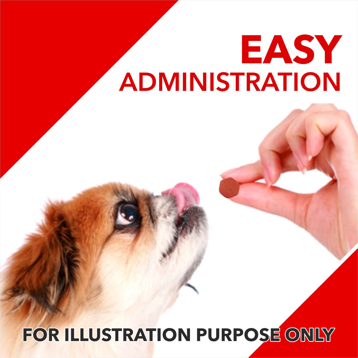 Drools Absolute Vitamin and Absolute Calcium Supplement Tablets for Dogs Combo Dogs-Health & Wellness Drools