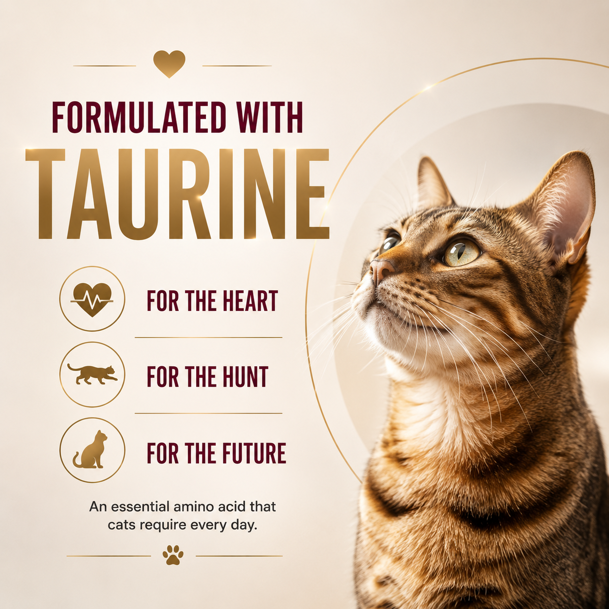 Signature Grain Zero Ocean Fish, Sardine and Mackerel Adult Cat Dry Food Cats- Dry food Signature