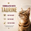 Signature Grain Zero Ocean Fish, Sardine and Mackerel Adult Cat Dry Food Cats- Dry food Signature