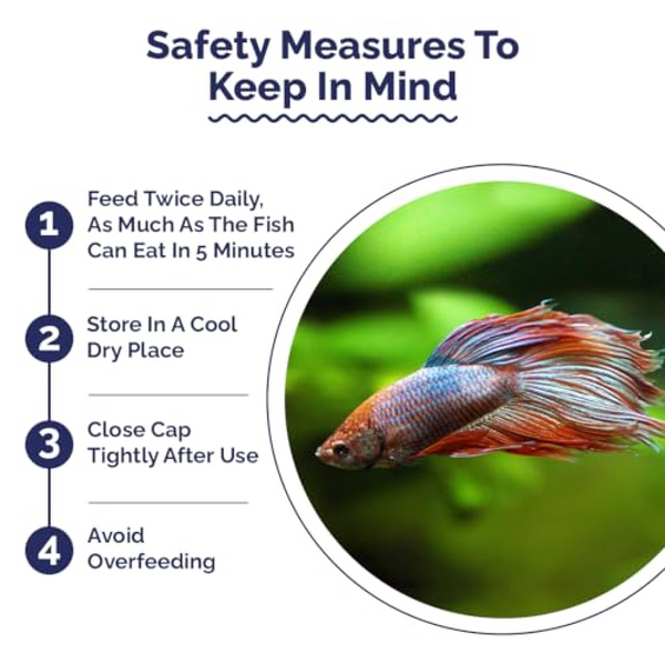 Fish Flakes Siamese Fighting Fish Food Betta Fish Eating Buy