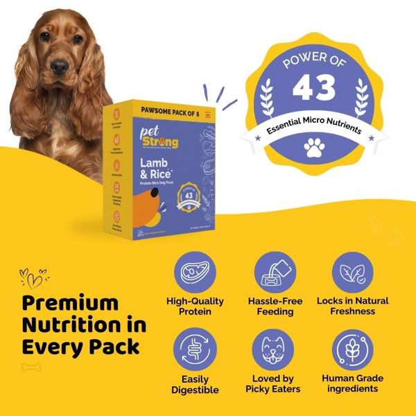 PetStrong Fresh Food Variety Pack Combo for Dogs