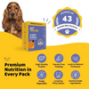 PetStrong Fresh Food Variety Pack Combo for Dogs Dogs-Fresh Food PetStrong