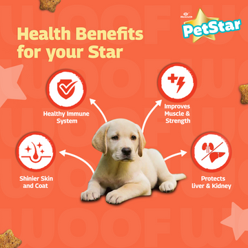 Mankind Petstar Chicken and Wheat Puppy Dry Food