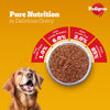 Pedigree PRO Active Adult Large Breed Dry Food, Pedigree Chicken Liver Gravy Dogs Wet Food Combo Exclusive Combo Exclusive Combo