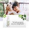 Groom My Pet Lavender and Jasmine Pampered Pooch Cologne for Dogs Dogs-Grooming Supplies Groom My Pet Dropship