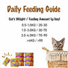 Smudges Salmon Pate Mixed with Shredded Chicken Kitten Wet Food Cats-Wet Food Smudges