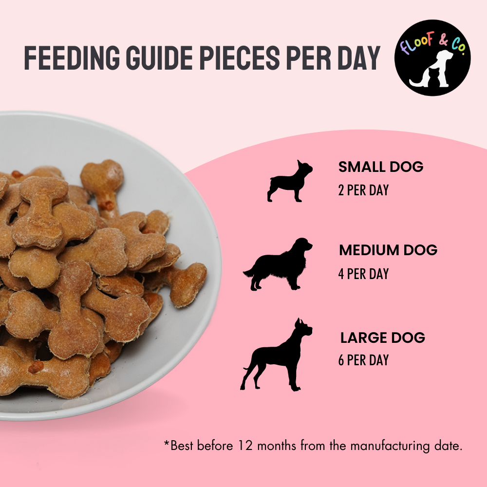 Floof & Co Classic Bacon Cheese Dog Treats (Buy 1 Get 1) Dog Treats + Others Floof & Co