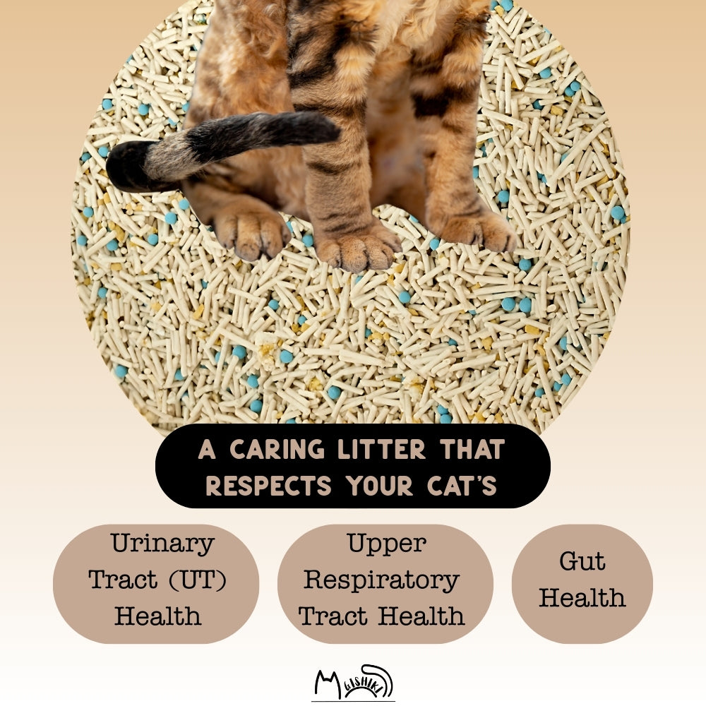 Gishiki Health Pro Premium Tofu Unscented Cat Litter with Add Ins Cats-Litter Gishiki