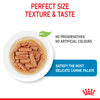 Royal Canin Medium Starter Dry Food for Medium Breed Dog and Puppies and Medium Puppy Dog Wet Food Combo Exclusive Combo Royal Canin
