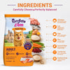 Purrfeto.com Ocean Fish Adult Cat Dry Food Cats- Dry food Purrfeto