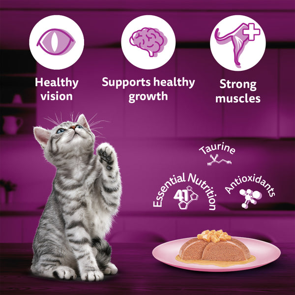 Whiskas Junior Salmon in Jelly Flavour Kitten (2-12 months) Cat Wet Food